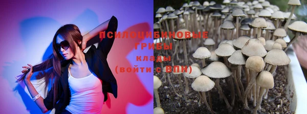 экстази Алексин