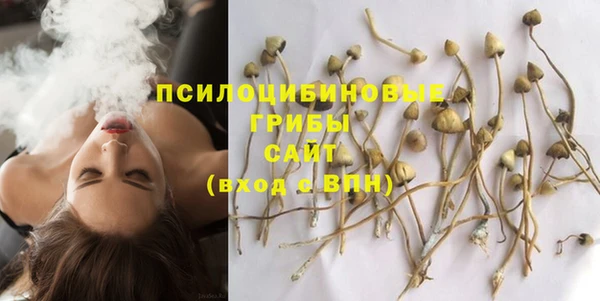 Альфа ПВП Абдулино